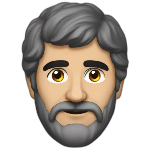 hrant toxatyan emoji