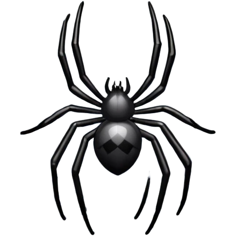 spider's web with a small spider emoji
