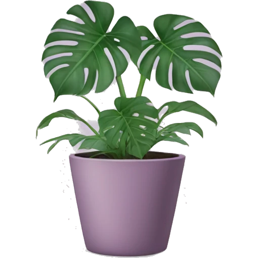 Monstera plant in mauve pot  emoji