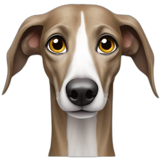 galgo afgano pelo largo emoji