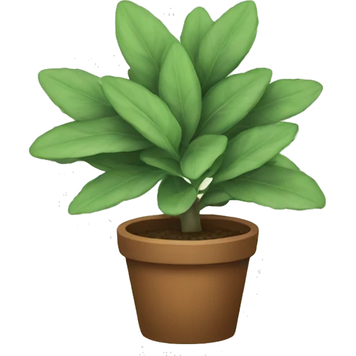 Sage plant emoji
