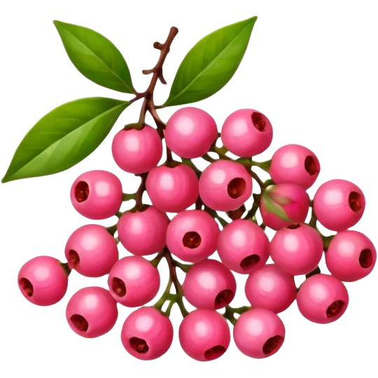 pink pepper  emoji