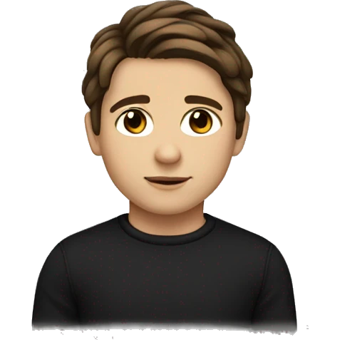 boy with a middle part flow hairstyle, brown hair and a black sweater, brown eyes and white skin emoji