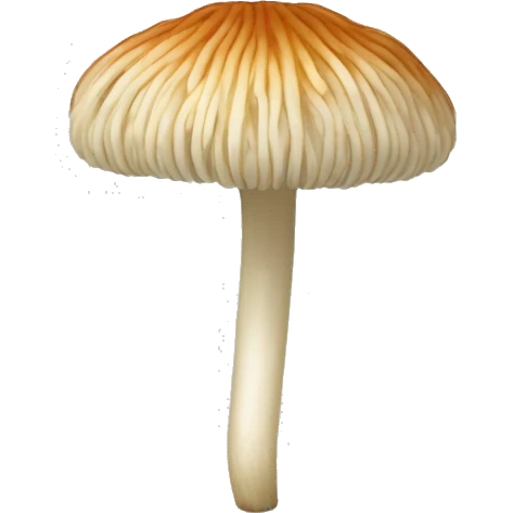 Enoki mushroom  emoji