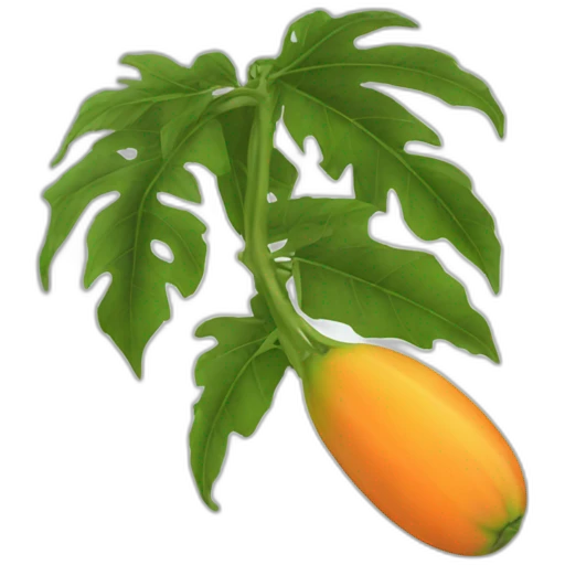 papaya emoji