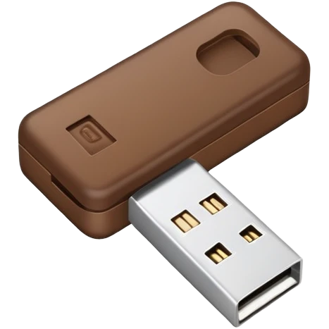 Brown usb key emoji