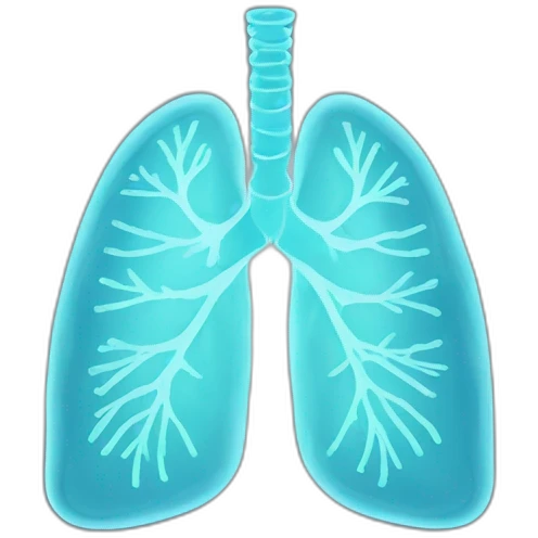 X Ray lungs emoji