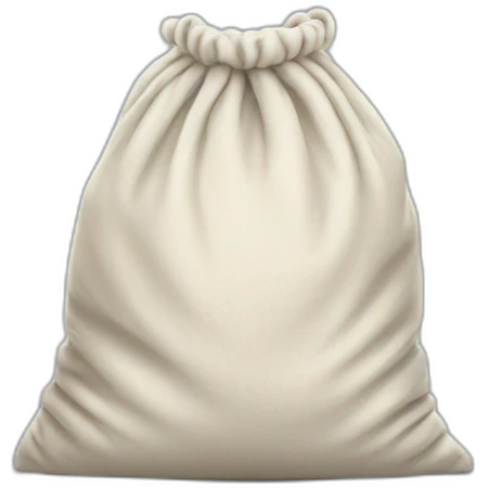laundry bag emoji