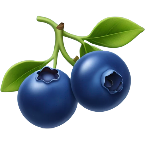 Blueberry emoji