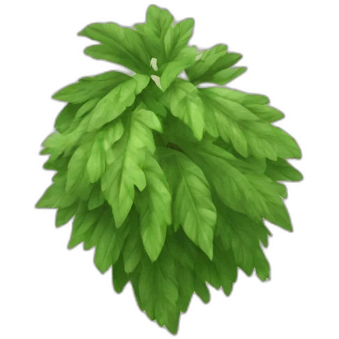 epazote emoji