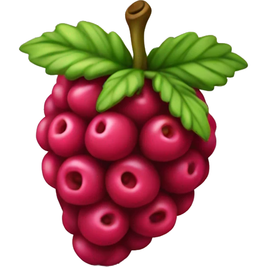 rasberry emoji