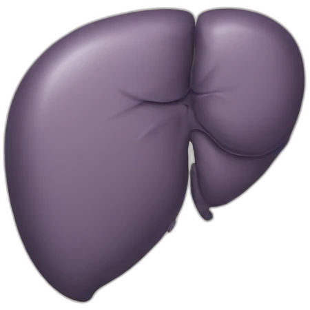 liver emoji