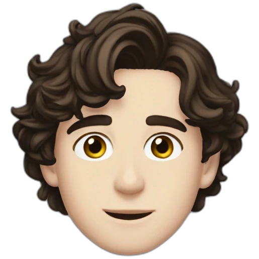 Timothee Chalamet handsome emoji