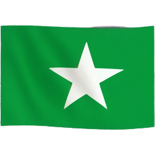 An Esperanto flag emoji