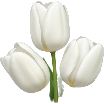 White tulips emoji