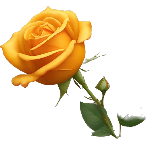 Orange-yellow rose still life with stem emoji