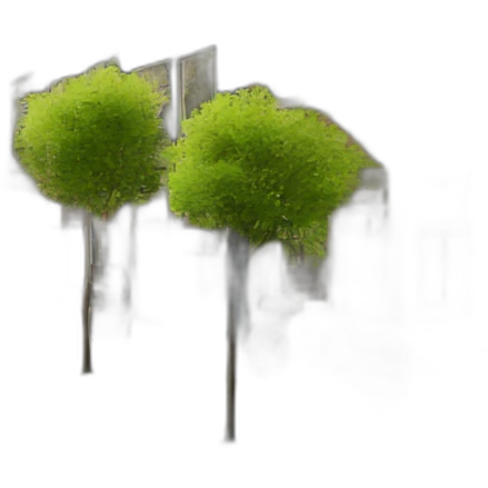 Amsterdam street emoji