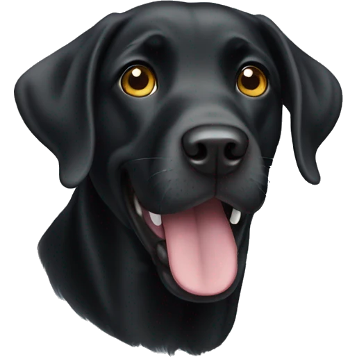 Funny Black Labrador  emoji