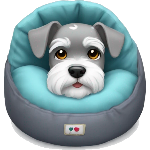 Grey and white mini schnauzer full body asleep in dog bed      emoji