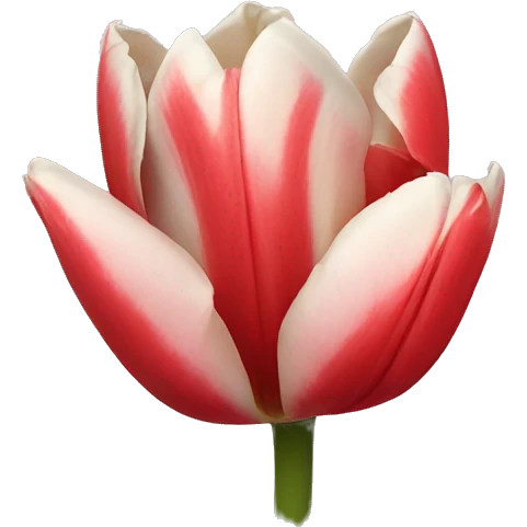 Tulips emoji