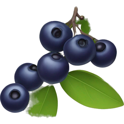 huckleberries emoji
