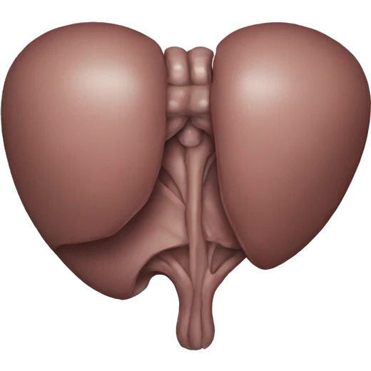 liver emoji