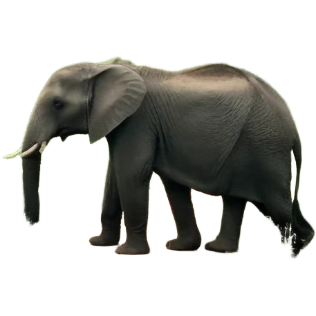 пастельное пасхальное яичко emoji