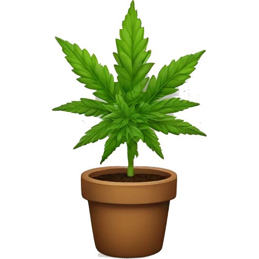 marijiuana plant emoji