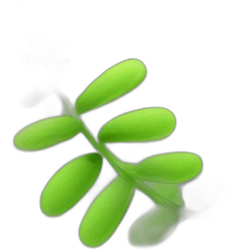 Rotala wallichii emoji