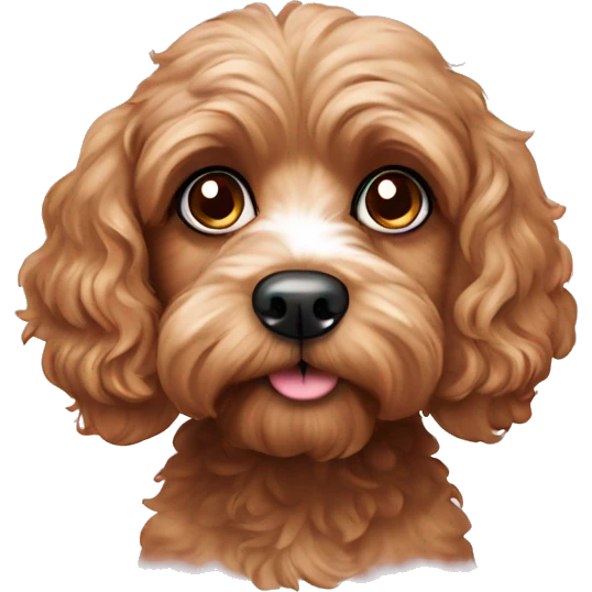 Cavoodle Dog side eyeing viewer emoji
