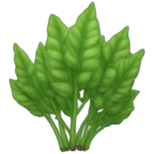 basilicom emoji