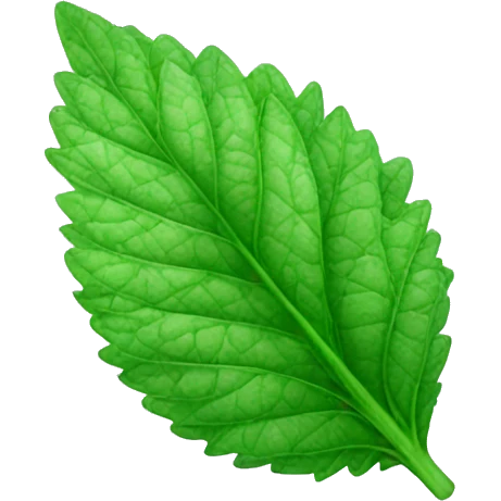 spearmint leaf emoji