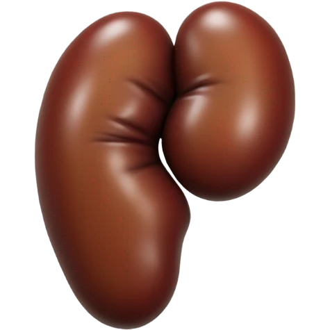 Kidney emoji