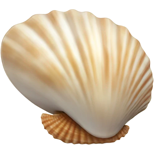 Seashell emoji