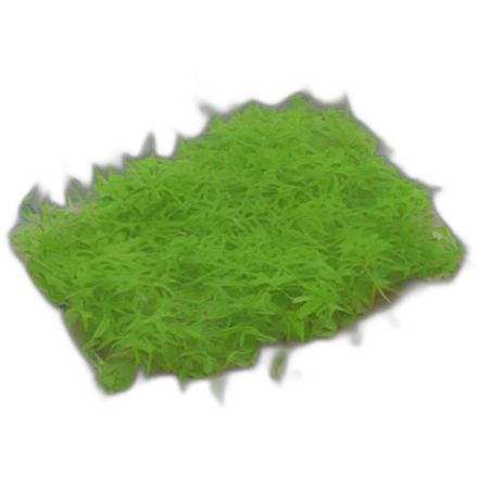 Streets in poor condition with weeds emoji