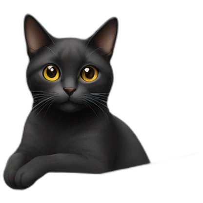 A cat on a box emoji