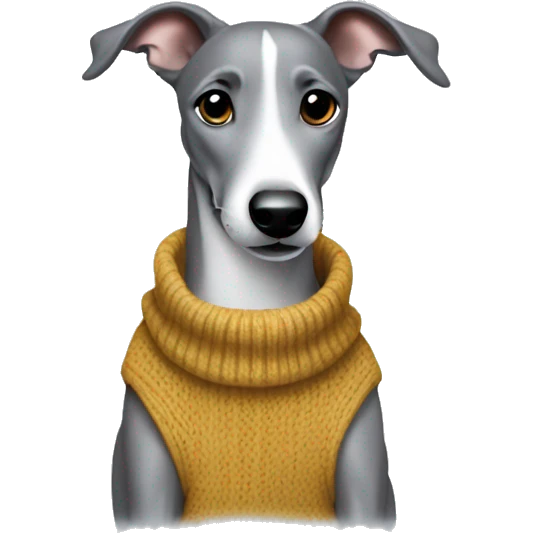Grey whippet in a jumper playing emoji