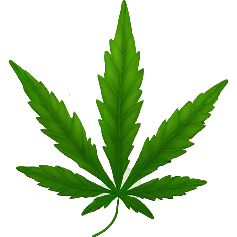 Weed leaf  emoji