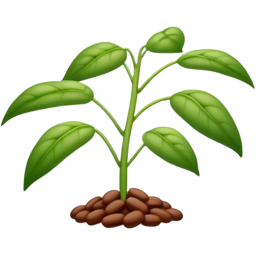 beans plant  emoji