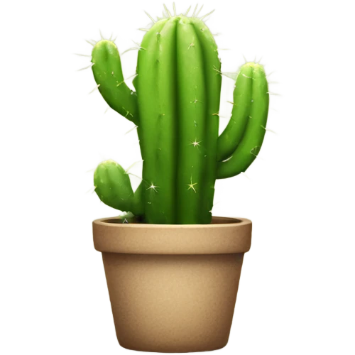 new cactus in collection, with star emoji