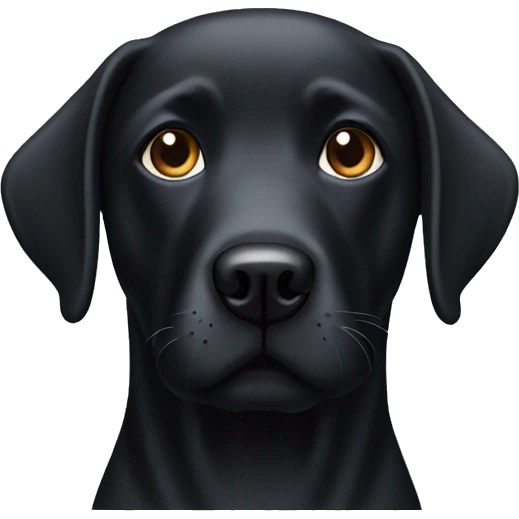 Apple style emoji Black Labrador head emoji