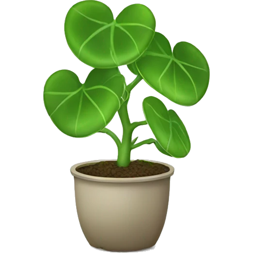 Chinese money plant emoji