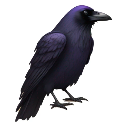 Raven on a book sticker