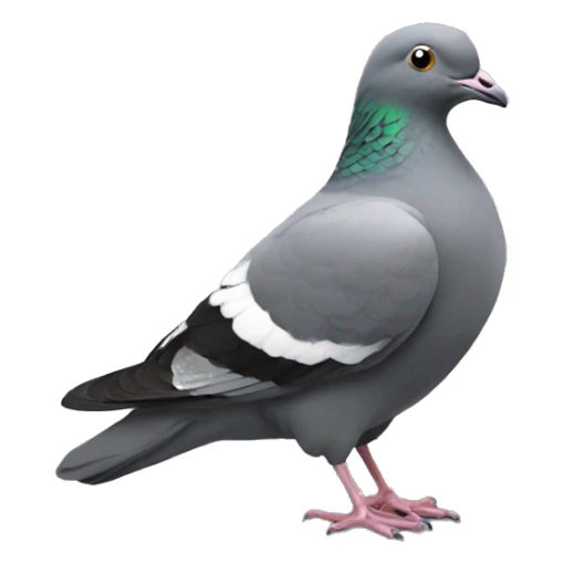 bowing pigeon sticker