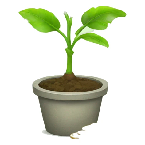 plant with coins  sticker