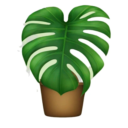 Monstera deliciosa  sticker