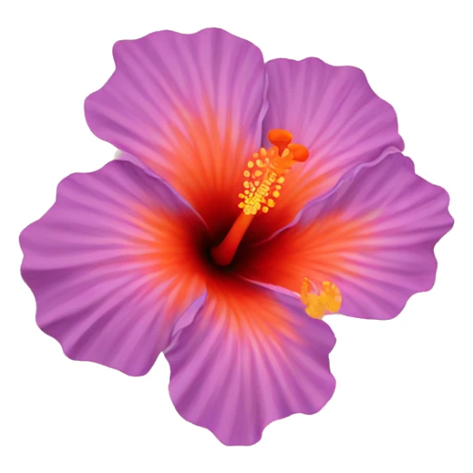 Orange hibiscus flower  sticker