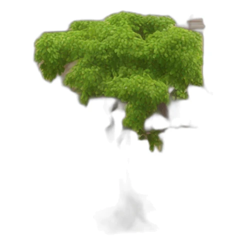 le magasin halte terre native de saint denis de la reunion sticker