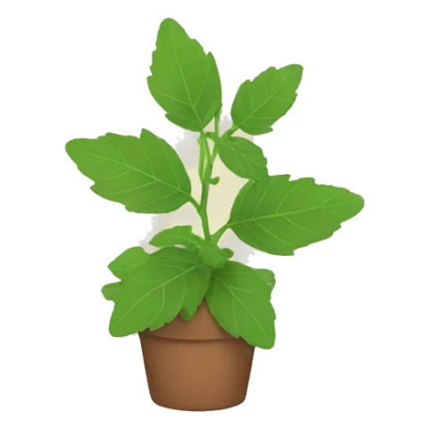catnip plant no cat sticker