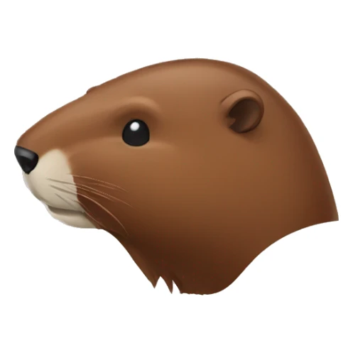 back of head beaver sticker